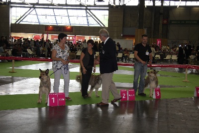 Pic d’ARLEE - Championnat de France et du Monde